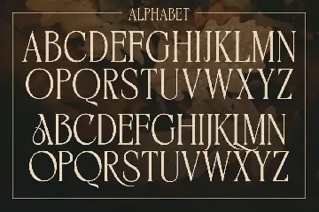 BIKAVE - A Modern Display Font