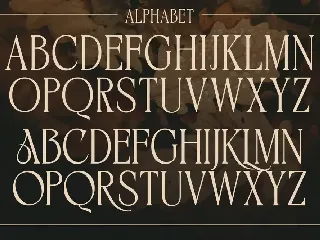 BIKAVE - A Modern Display Font