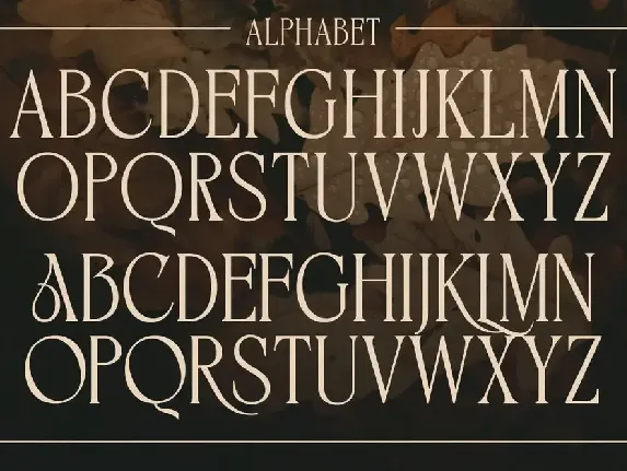 BIKAVE - A Modern Display Font