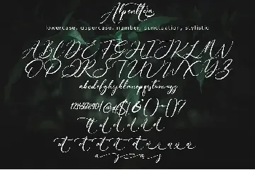 Alpenttera font