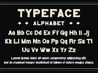 BADDAN - A Modern Display Font