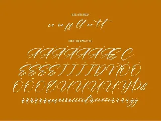 Hardiness Fonte Modern Signature Font