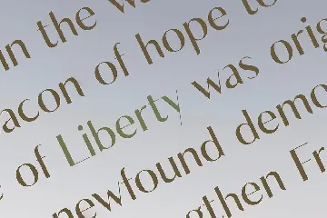 Elegant Unique Thin Serif Font