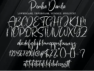 Ponha Danila font