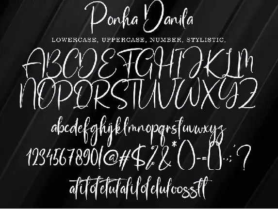 Ponha Danila font