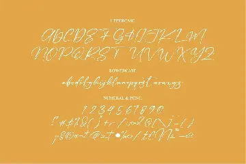 Heather Frontis Modern Signature Font