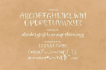 Gaterfly Mondy Handwritten Script Font