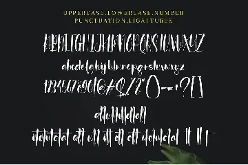 Antayha font