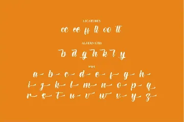 Dinasty Rubby Modern Script Font