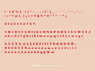 Bowknot Unique Display Font