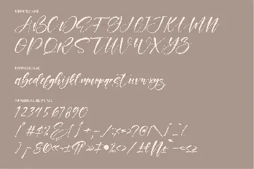 Wilonata Pevita Script Font