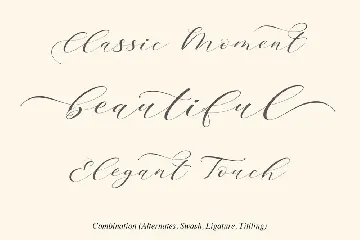 Brainlove - Beautiful Modern Calligraphy font