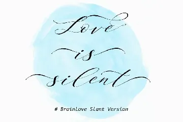 Brainlove - Beautiful Modern Calligraphy font