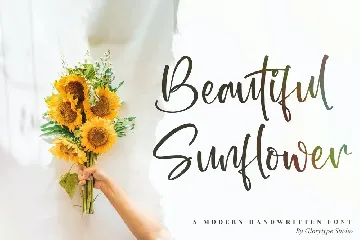 Wondelland Modern Handwritten Font