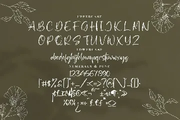 Wondelland Modern Handwritten Font