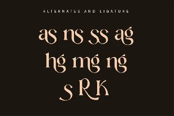 Modern Elegant Serif Font