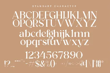 Modern Elegant Serif Font