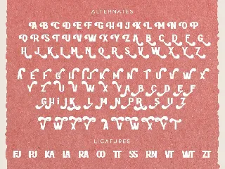 Rottely - Modern Display Font