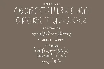 Santilaria Modern Handwritten Font