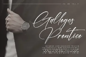 Thunderbold Signature Modern Siganture Font