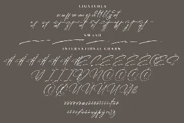 Thunderbold Signature Modern Siganture Font