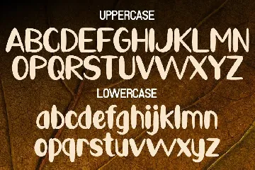 Dried Tree - Handwritten Typeface font