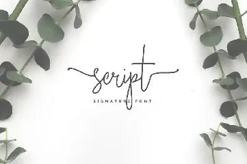 Bella Script Font