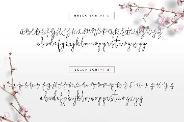 Bella Script Font