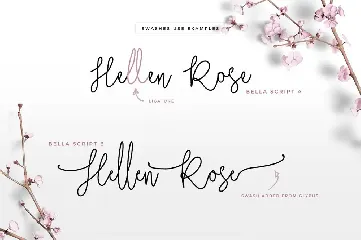 Bella Script Font