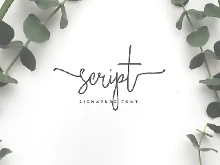 Bella Script Font