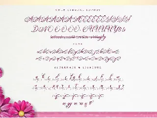 Amertha_a modern calligraphy font