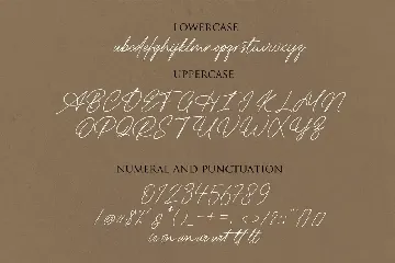 Radhion Signature font