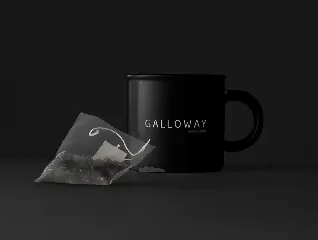 Galloway  - Modern Typeface + WebFont