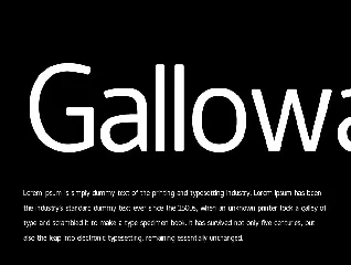 Galloway  - Modern Typeface + WebFont