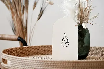 Advent Font Pairing / Christmas Font