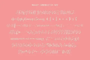 Molldy Handwritten Modern Script Font Brush Type