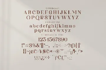 Adoha Modern Serif Font