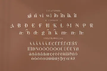 Adoha Modern Serif Font