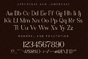 Serif Modern Display Font