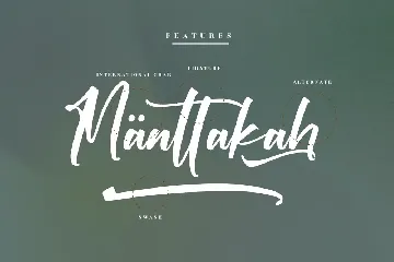 Victory Willkins Modern Script Font