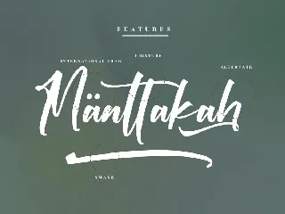 Victory Willkins Modern Script Font