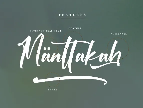 Victory Willkins Modern Script Font