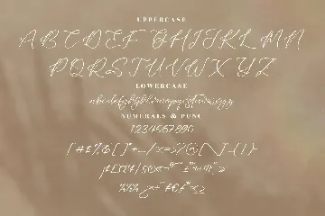 Zayttan Modern Script Font