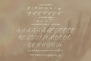 Zayttan Modern Script Font