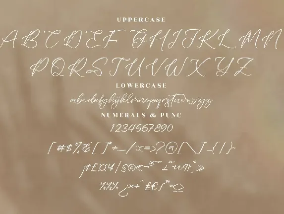 Zayttan Modern Script Font