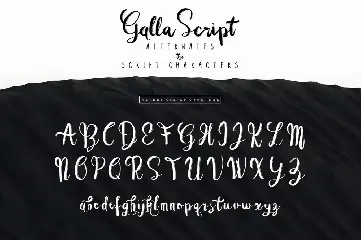 Galla Duo Font