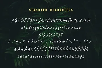 Highnorth - Handmade Marker Font