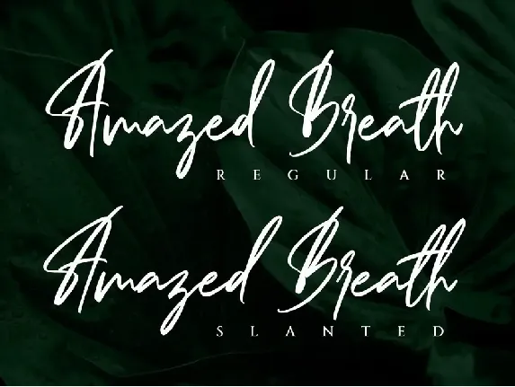 Amazed Breath - Handwritten Signature font