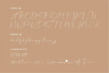 Rolanda Script Font