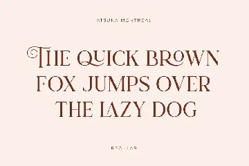 Atsuka Montreal - Font Family